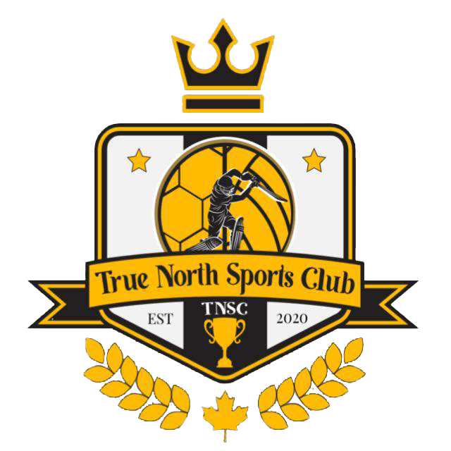 true north logo
