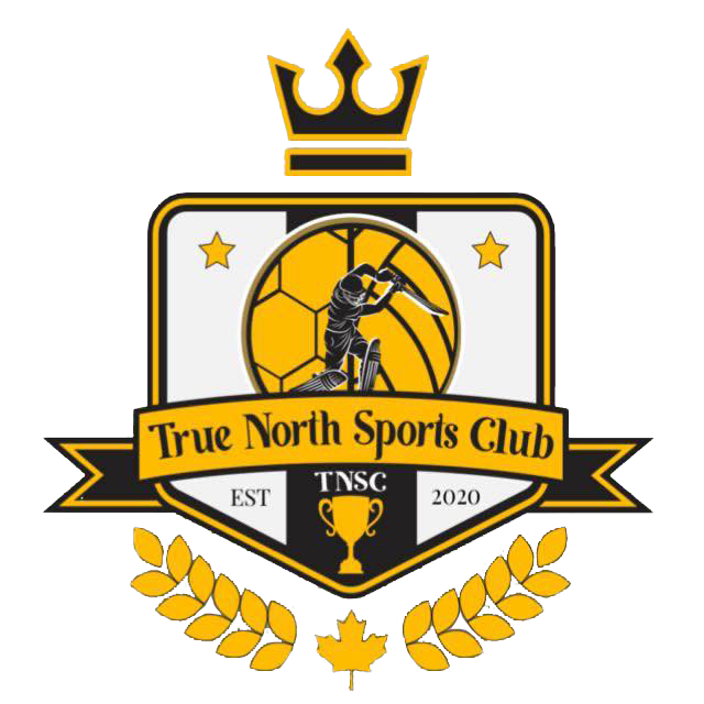 true north logo